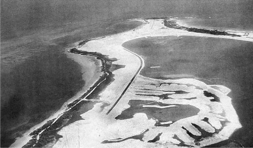 11402565_996230550417286_3630110973750109963_o