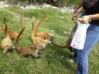 11821994_936780153062418_1271039012_o